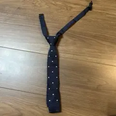 Item thumbnail for item ce6aefed-12d9-43b6-a5a0-d5759184aca0