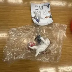 こぼすシリーズ おみそしる-ネコ編- トラ