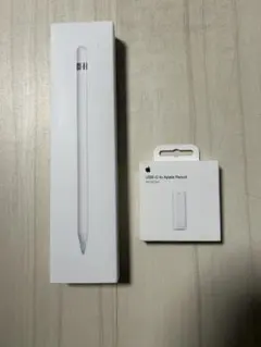 Apple Pencil 第一世代+ USB-Cアダプタ セット