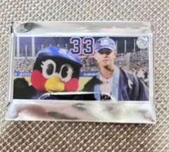 ヤクルトスワローズ　アクリルプレート　内山壮真選手　つばみちゃん