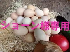 ショーン様専用 アローカナ40個 4500円