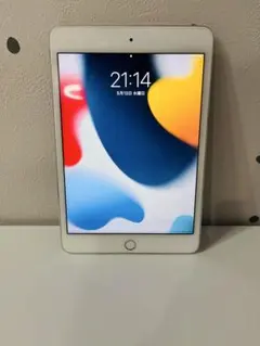 Apple iPad mini4 WI-FI 64G