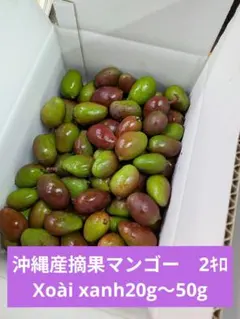 2026年最新】摘果マンゴーの人気アイテム - メルカリ