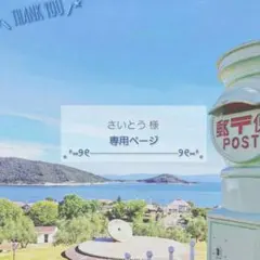 さいとう様専用ページ✩.*˚