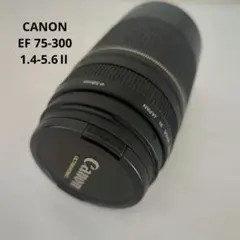 2026年最新】Canon LENS EF 75-300mm 1:4-5.6の人気アイテム - メルカリ