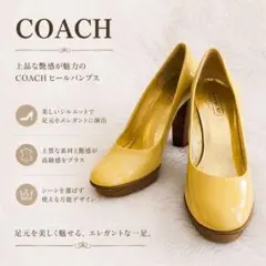 【極美品】COACH（24.5） イエローハイヒールパンプスのサムネイル