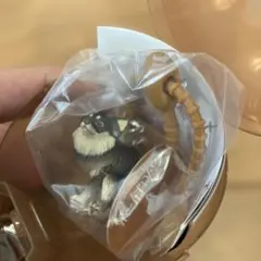 新品未開封 ふんばりーぬ チワワ　ガチャ