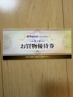 ヤマダ電機 優待券 5000円2026年6月末