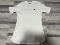 LACOSTE ラコステCLASSIC FIT 半袖　ホワイト Tシャツのサムネイル