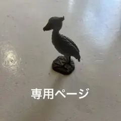 専用ページ