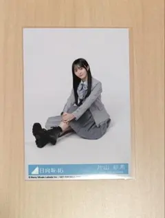 日向坂46 片山紗希 クリフハンガー ランダムクリアカード - メルカリ