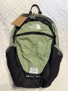 THE NORTH FACE SMALL DAY リュック 石垣限定