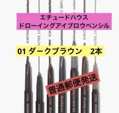 エチュードハウス ドローイングアイブロウ 01 ダ－クブラウン2本　普通郵便のサムネイル