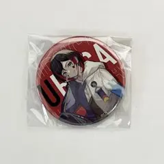 Crazy Raccoon crチップス 缶バッジ うるか