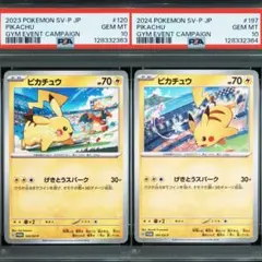 2025年最新】ポケモンパーク psa10の人気アイテム - メルカリ
