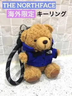 レア白ダウン】国内未発売 THE NORTH FACEくまキーホルダー※箱無し 