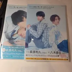 TVドラマ&劇場版 「美しい彼」公式ビジュアルブック2冊セット