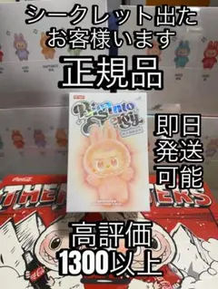 【正規品・未開封】 Labubu Big into Energy 1 箱
