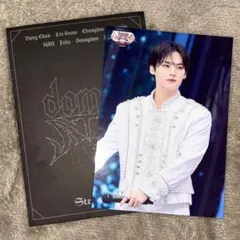 StrayKids スキズ リノ ラントレ VR 会場限定 ランダムトレカ