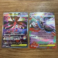 メガフラエッテex SAR RR セット ニンジャスピナー