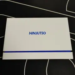 NINJUTSO TEN