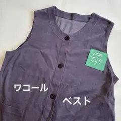 ワコール らくラクパートナー ベストMPのサムネイル