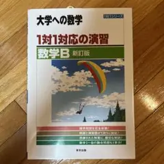 大学への数学 1対1対応の演習 数学B 新訂版