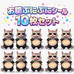 猫　お腹ぷにぷにシール　10枚セット　ねこ　サングラス　シール交換　SNS