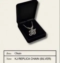 kohjiyaREPLICA CHAIN SILVER ネックレス 武道館
