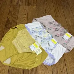 Item thumbnail for item c1f117c5-8fa5-4a44-916d-d949500d3651