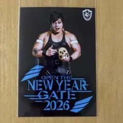 2026年最新】ドラゴンゲートグッズの人気アイテム - メルカリ