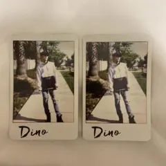 SEVENTEEN GoingSeventeen トレカ ディノ Dino