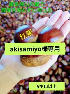 akisamiyo様専用ページ 生栗、なま栗、ナマ栗、栗