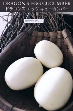 しろなみ様 リクエスト 5点 まとめ商品