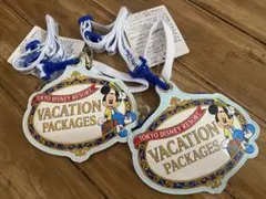ディズニーバケーションパッケージ限定パスケース☆2個セット☆非売品☆