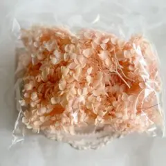 애나벨 수국 프리저브드 플라워 라이트 오렌지 플라워 소재 신제품 미사용 20g