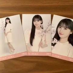 川﨑桜 ✨ 桜カラーコーデ 生写真 3種 コンプ 乃木坂46