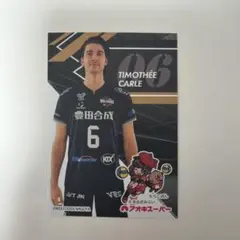 ティモシーカール