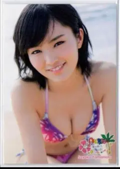 2026年最新】akb48 海外旅行日記~ハワイはハワイ~ 山本 彩の人気