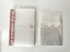 Item thumbnail for item a24784e6-ecfc-4813-9602-cd9ad9baf889