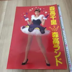 森高千里 30th Anniversary FINAL！ パンフレット - メルカリ