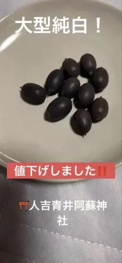 ⛩️ 히토요시 아오이 아소 신사 대형 퓨어 화이트!이것이 마지막 목록입니다.