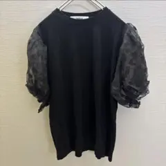 ブラック ドット柄シースルー袖 Tシャツ　トップス　DHOLIC フリーサイズのサムネイル