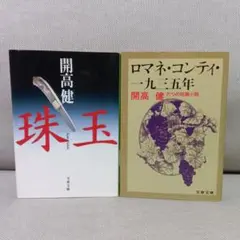 珠玉　ロマネ・コンティ・一九三五年　開高健　２冊セット　まとめ売り　文庫　本