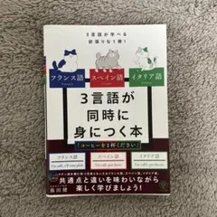 フランス語・スペイン語・イタリア語 3言語が同時に身につく本のサムネイル