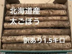 徳之島産キャッサバ生芋訳あり品3キロ入り訳あり品の為商品説明書を
