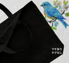 シンプル レッスンバック お稽古バッグ 名前テープ マチ付き 黒 タグなし