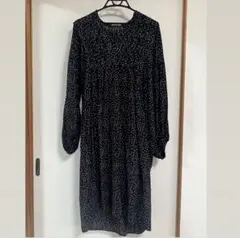 Item thumbnail for item 3d973952-14a7-4011-9a37-d74131380223