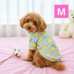 M 犬服　レモン　水色　フルーツ柄　わんちゃん　小型犬　フリース　防寒　あったか