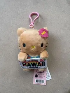 【新品未使用タグ付】ハワイ限定 日焼けキティ